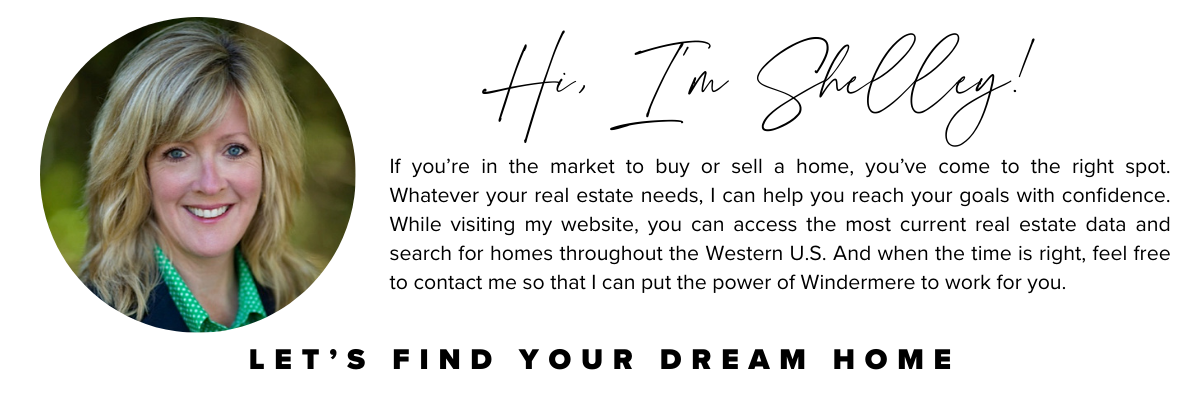 Shelley Elenbaas Website Banners (1200 x 400 px) (7)